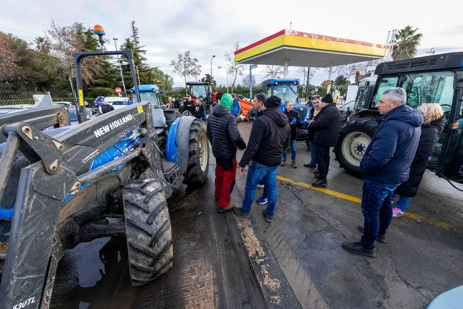 Los payeses de Tarragona protestan y arrancan los avellanos muertos por la sequía
