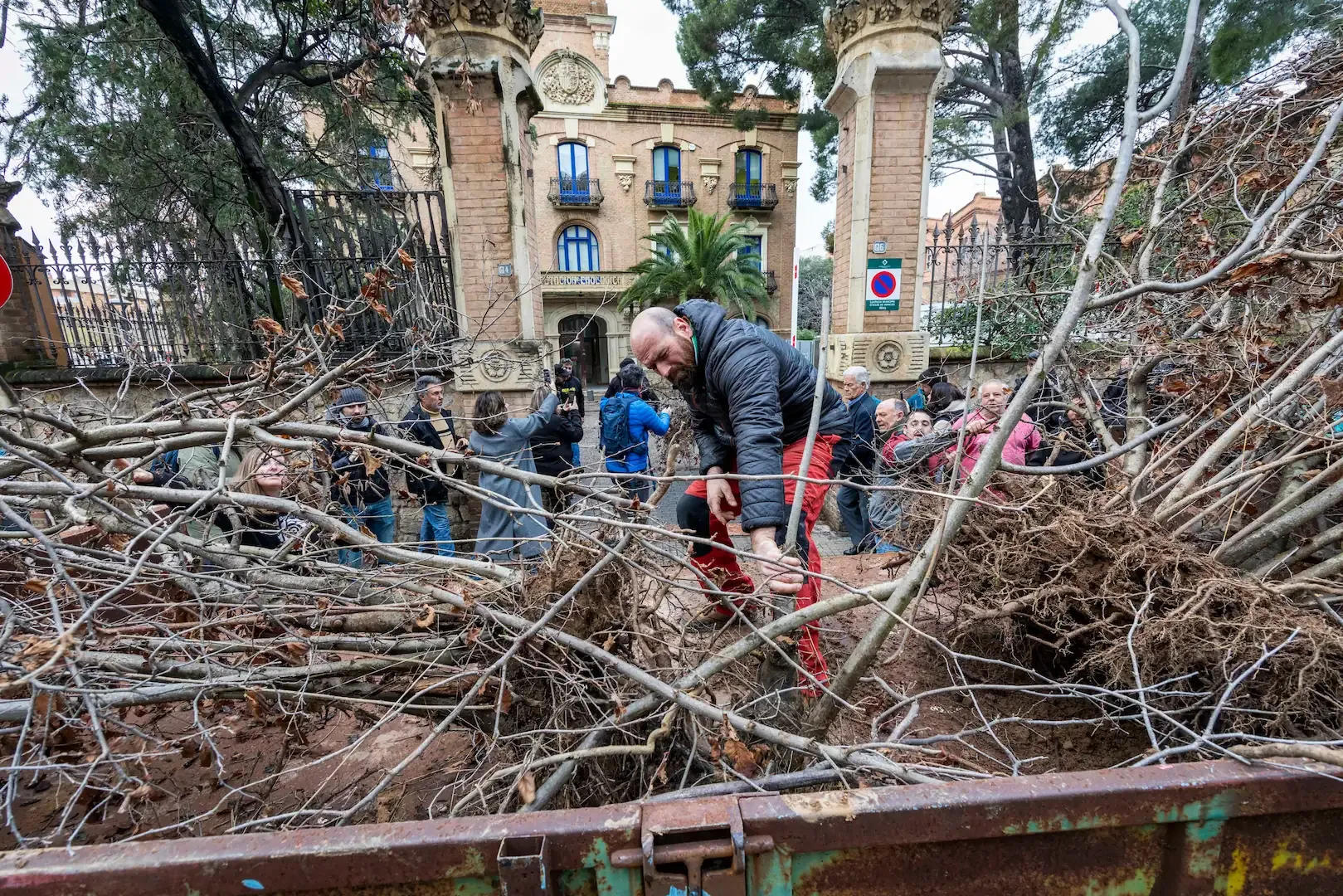 Los payeses de Tarragona protestan y arrancan los avellanos muertos por la sequía