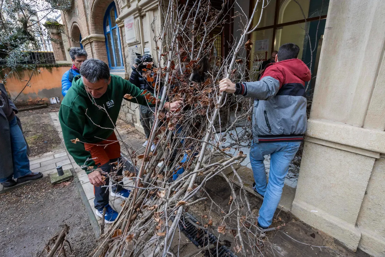 Los payeses de Tarragona protestan y arrancan los avellanos muertos por la sequía