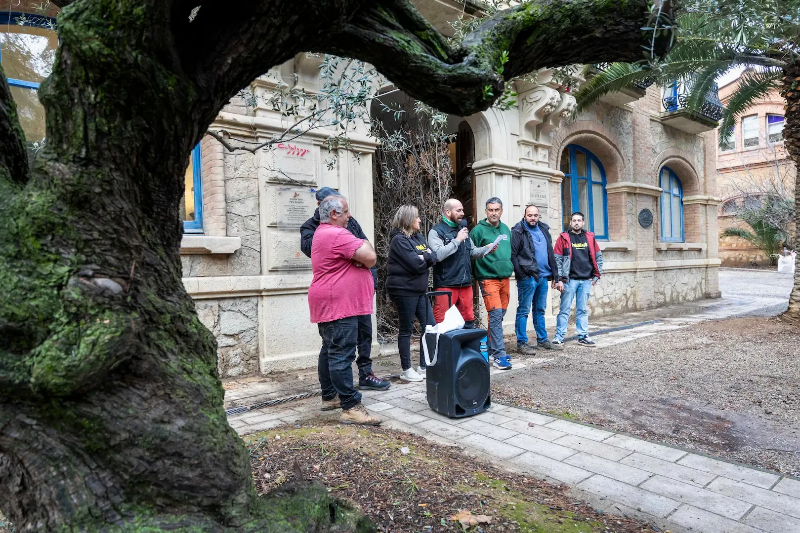Los payeses de Tarragona protestan y arrancan los avellanos muertos por la sequía
