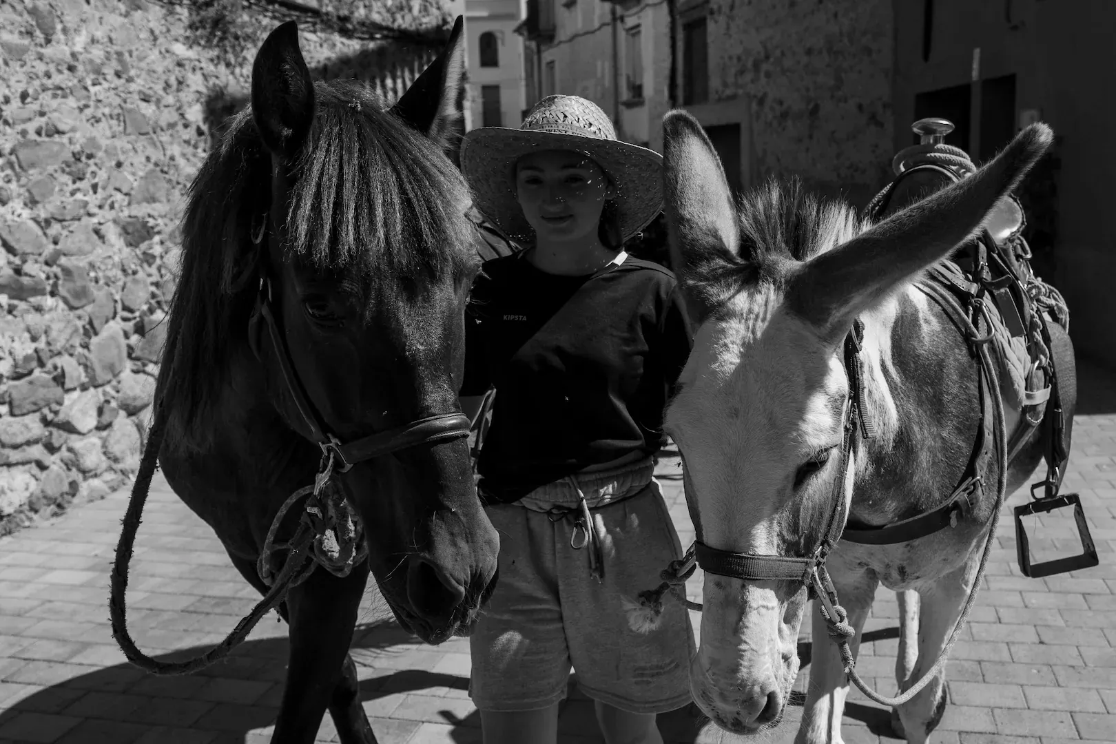 Trashumancia