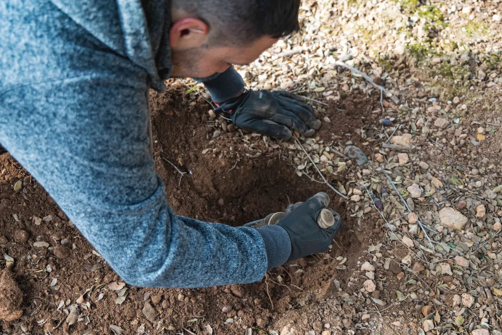 Dídac Espasa y Joan Muriana, buscando trufas en su finca de encinas.