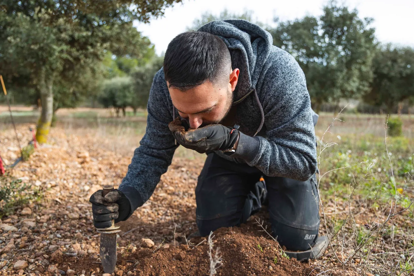 Dídac Espasa y Joan Muriana, buscando trufas en su finca de encinas.