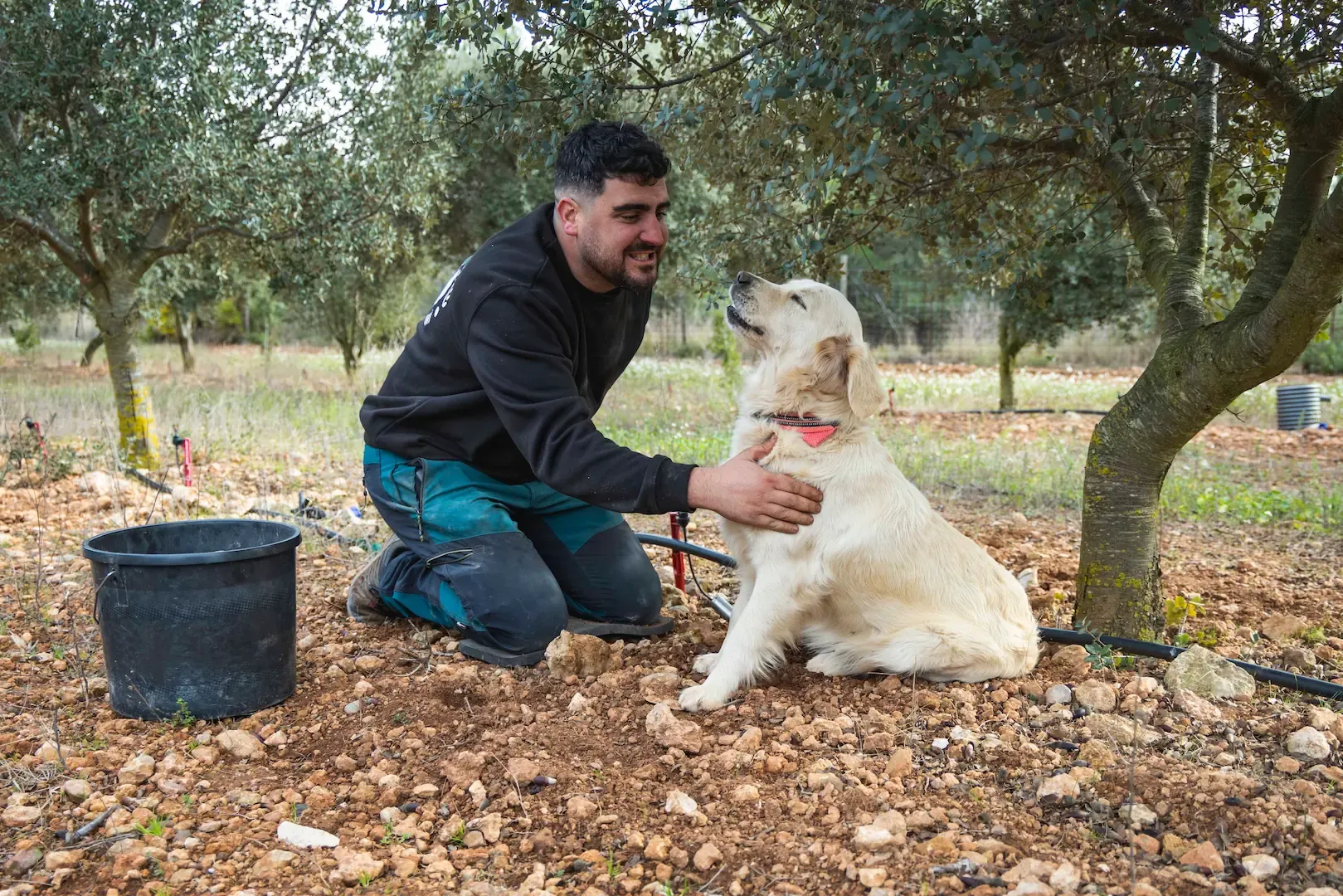 Dídac Espasa y Joan Muriana, buscando trufas en su finca de encinas.